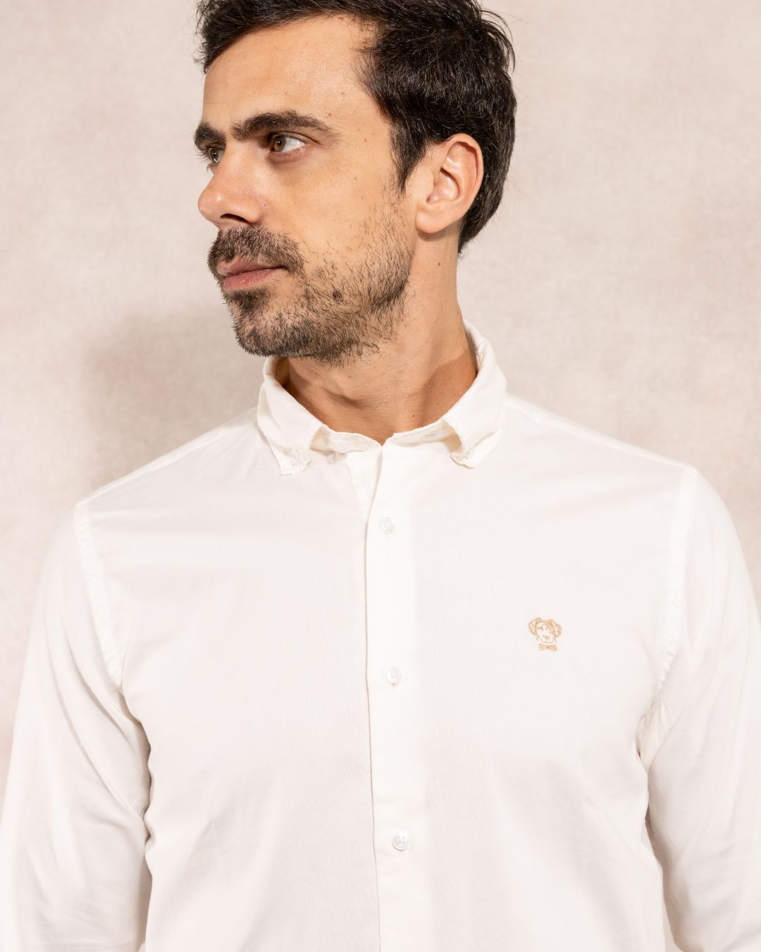 Ivory Oxford Stain Resistant Shirt Regular Fit