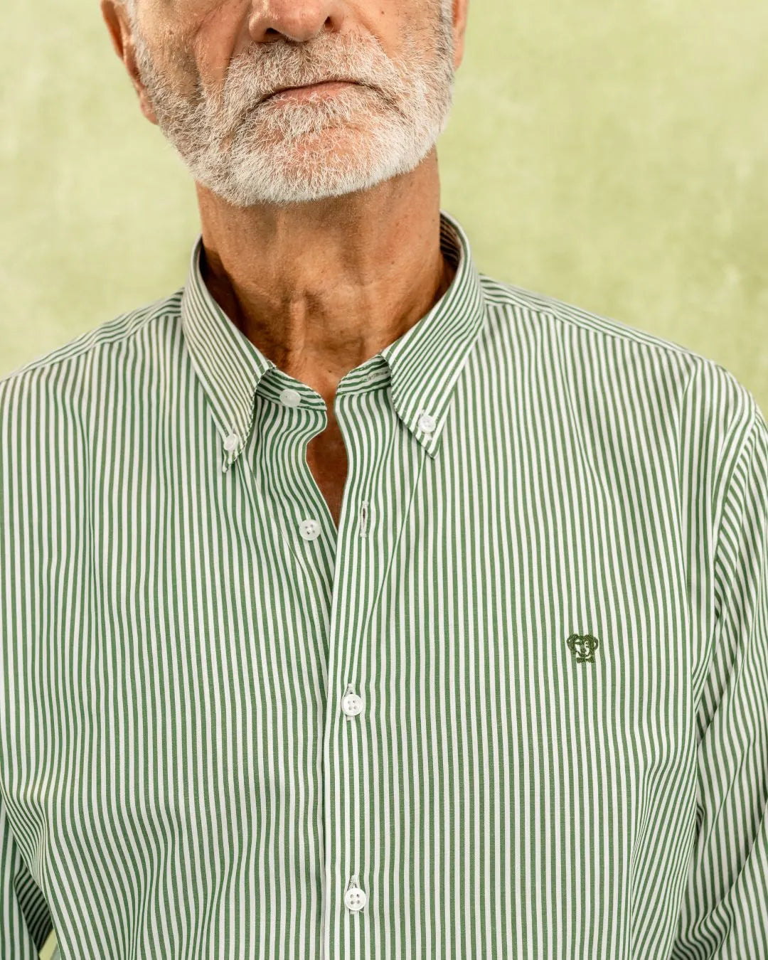 camisa antimanchas popelina rayas verde tela algodón popelina rayas color verde claro pagar hombre tallaje regular marca DANTE  foto logo
